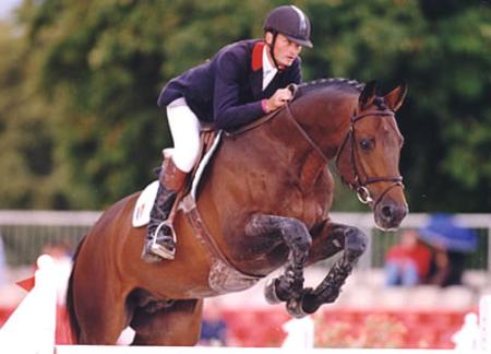Alligator Fontaine - French Stallion